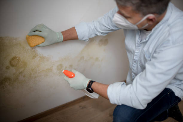Best Toxic Mold Removal  in Pike Road, AL